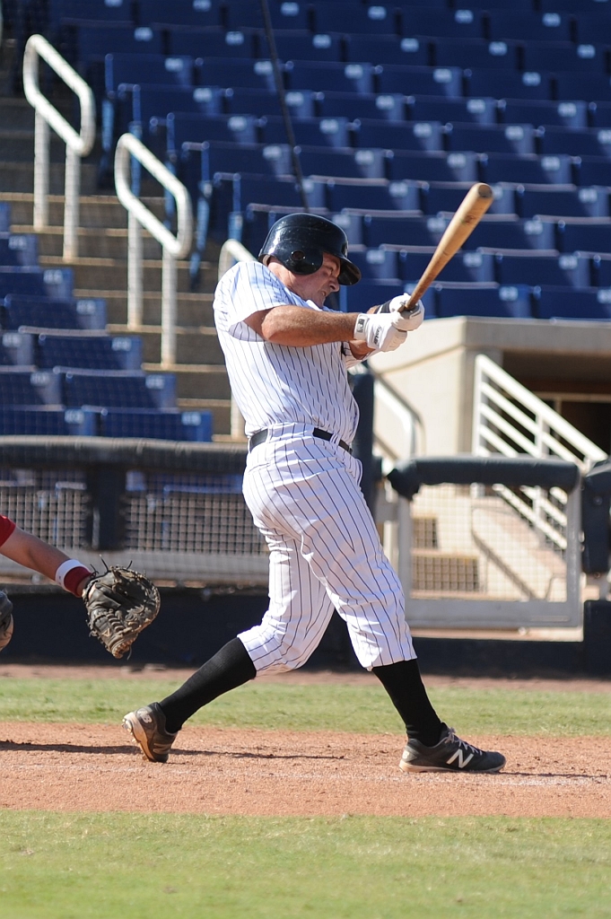 Seals_2017-10-09 (502).jpg - (c)2010 DeVetter